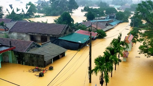 FAO assists smallholder farming households in flood-hit central Vietnam - ảnh 1
