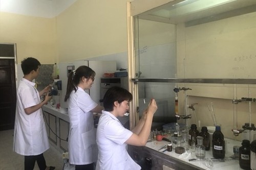 Vietnam institute successfully synthesizes COVID-19 drug - ảnh 1