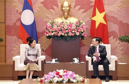 Vietnamese leaders receive Lao Vice President - ảnh 2