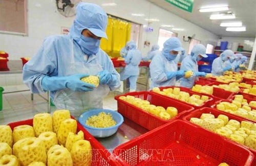 Vietnam eyes global top 10 in agricultural processing - ảnh 1