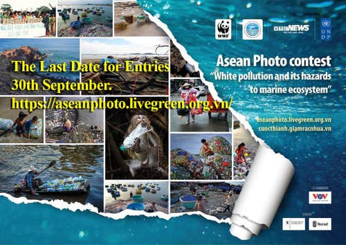 ASEAN Photo contest “White pollution and its hazards to marine ecosystems” - ảnh 1