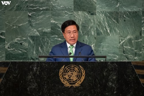 Deputy PM highlights significance of int'l solidarity, cooperation in tackling global issues - ảnh 1