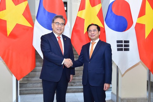 Foreign ministers hold talks to enhance Vietnam-RoK cooperation - ảnh 1