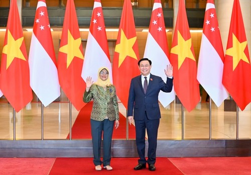 Vietnamese leaders receive Singaporean President  - ảnh 3