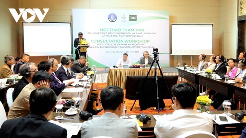 Vietnam seeks high-quality, low emission rice production - ảnh 1