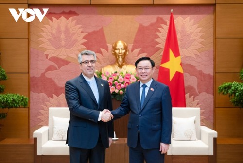 Vietnam promotes cooperation with Indonesia, Iran - ảnh 2