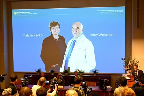 Hungarian and US scientists win medicine Nobel for COVID-19 vaccine discoveries - ảnh 1