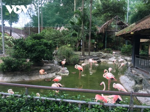 Saigon Zoo and Botanical Garden celebrates founder’s 190th birthday - ảnh 1