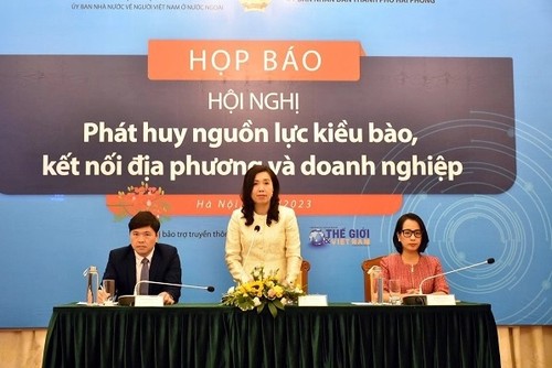 Conference to seek ways to fully tap overseas Vietnamese resources  - ảnh 1