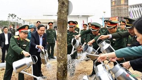 Tree planting festival launched in Hanoi, Da Nang - ảnh 1