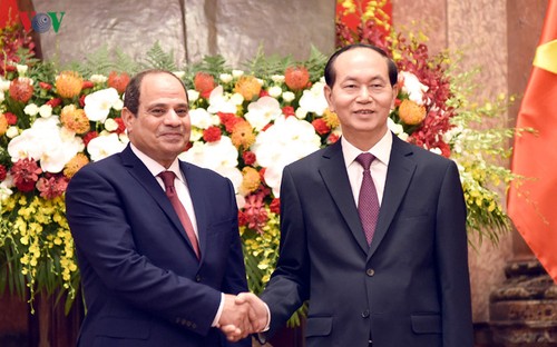 เวียดนาม-อียิปต์ เห็นพ้องผลักดันความร่วมมือที่เอื้อประโยชน์ต่อกัน - ảnh 1