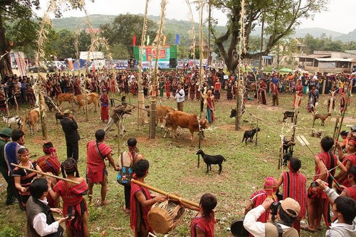 งานเทศกาล อาเรียวปิง ของชนเผ่า ปาโก - ảnh 1