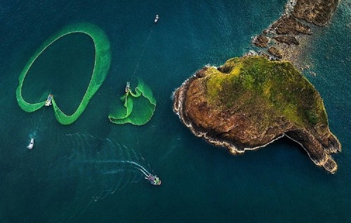 ความสวยงามของเกาะเอี๊ยนในจังหวัดฟู้เอียน  - ảnh 11