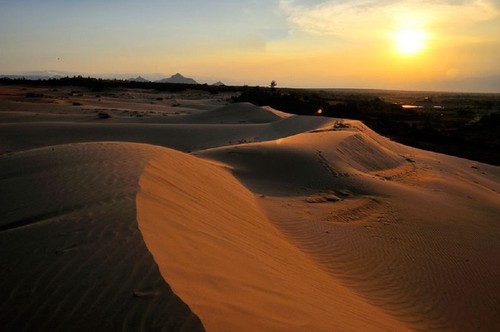 สัมผัสความงามของเนินทราย นามเกือง ในจังหวัดนิงห์ถ่วน - ảnh 3