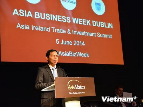 Deputy Foreign Minister Bui Thanh Son visits Ireland - ảnh 1