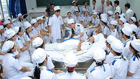 Medical sector seeks investment in human resources - ảnh 1