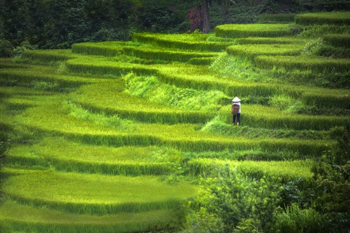 Beautiful Vietnam through American tourist’s lens  - ảnh 1