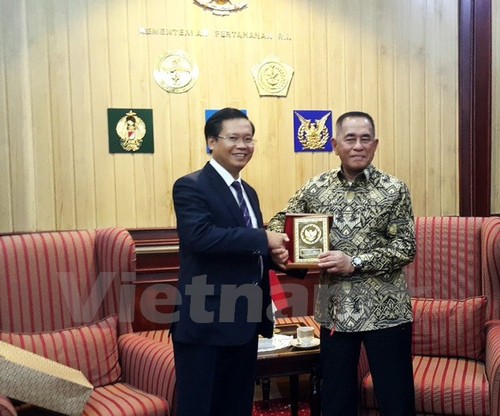 Vietnam, Indonesia strengthen defense cooperation - ảnh 1