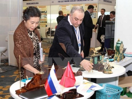 Vietnam, Russia boost economic cooperation - ảnh 1