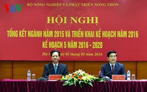 Agriculture and rural development plans for 2016 - ảnh 1