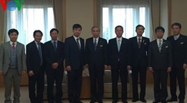 Vietnam promotes economic cooperation with Japanese localities - ảnh 1