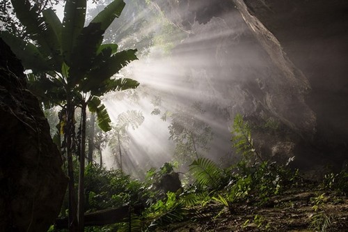 Son Doong Cave nominated for world record - ảnh 1