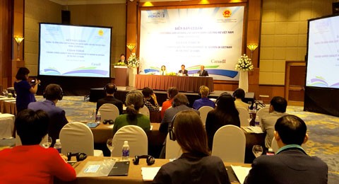 Vietnam commits to promoting gender equality in line with CEDAW - ảnh 1
