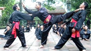 第四次国际越武道节给游客和运动员留下美好印象 - ảnh 1