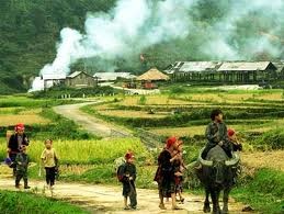 越南新农村建设开展两年来成果显著 - ảnh 2