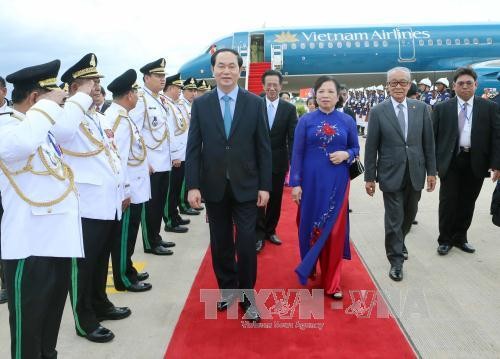 越南国家主席陈大光会见柬埔寨国王诺罗敦•西哈莫尼 - ảnh 1