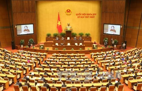 越南第十四届国会第一次会议圆满完成预定目标 - ảnh 1