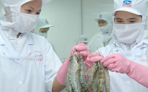 越南虾出口有望超过30亿美元 - ảnh 1
