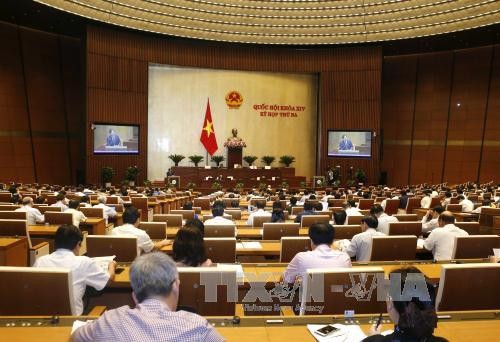 越南国会讨论《武器、爆炸物及其辅助工具管理使用法（草案）》 - ảnh 1