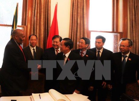 越南国会高级代表团圆满结束对南非的访问 - ảnh 1