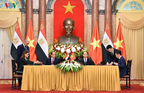 越南和埃及一致同意推动互利合作 - ảnh 1