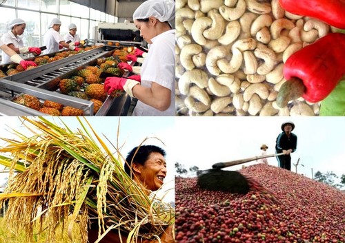 越南农业可持续发展伙伴会议举行 - ảnh 1