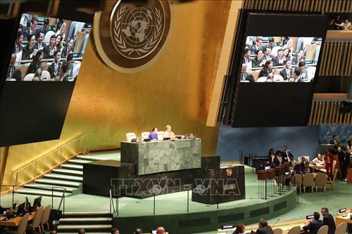 国际舆论高度评价越南当选2020至2021年任期联合国安理会非常任理事国 - ảnh 1
