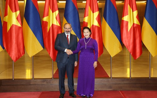越南国会主席阮氏金银会见亚美尼亚总理帕什尼扬 - ảnh 1