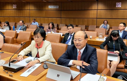 越南积极参与制定调整国际贸易规定进程 - ảnh 1