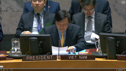 越南主持联安理会讨论也门局势的会议 - ảnh 1
