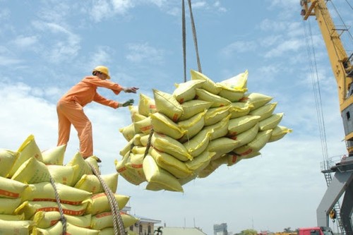 越南政府总理同意恢复大米出口但必须确保粮食安全 - ảnh 1