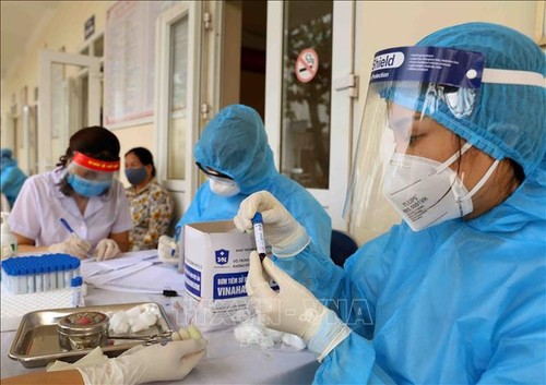 尽快为越南驻外机构人员建立新冠肺炎检查和治疗制度 - ảnh 1