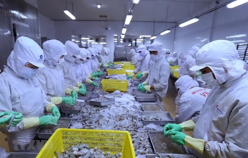 虾行业对实现出口超35亿美元目标充满信心 - ảnh 1