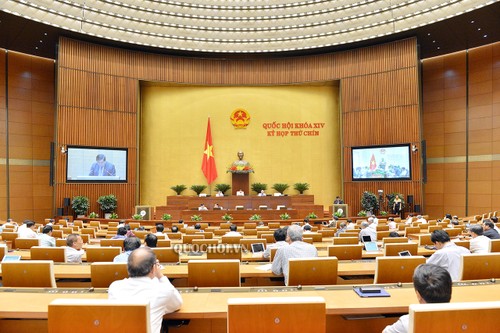 越南国会讨论岘港市城市政府模式试点组织决议草案 - ảnh 1