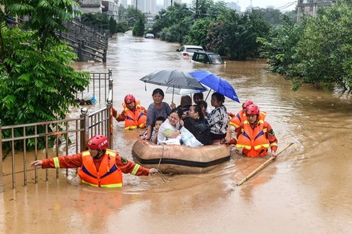 越南政府向中国灾区提供援助 - ảnh 1