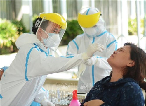 11月3日上午越南无新增新冠肺炎确诊病例 - ảnh 1