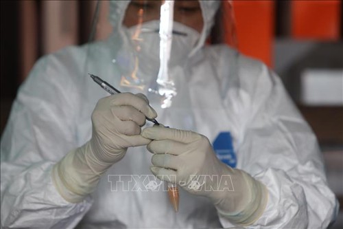 5月18日上午，越南新增19例新冠肺炎确诊病例 - ảnh 1