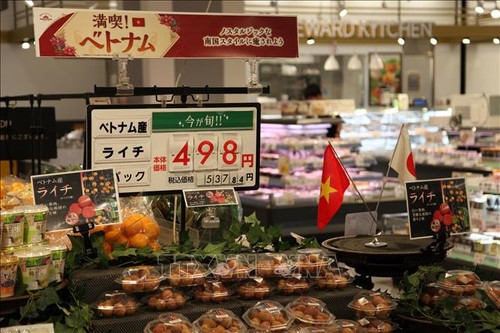 越南新鲜荔枝首次在日本鹿儿岛超市上架 - ảnh 1