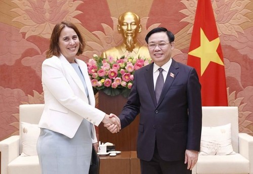 越南和新西兰力争实现2024年双边贸易额达20亿美元的目标 - ảnh 1
