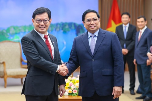越南政府总理范明政会见新加坡副总理王瑞杰 - ảnh 1